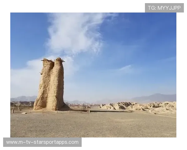 新疆行踪:沿着丝路时光印记的旅人笔记 新疆行踪:沿着丝路时光印记的旅人笔记