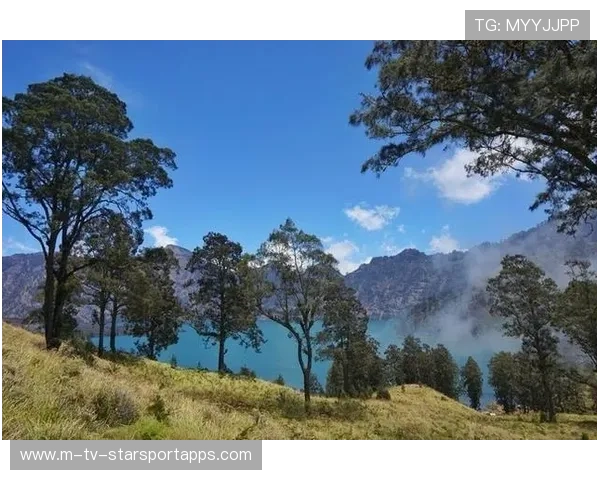 稳定输出成为常态（430 ）