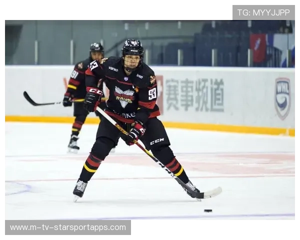 职业联赛的公平竞技维护保障体系建设